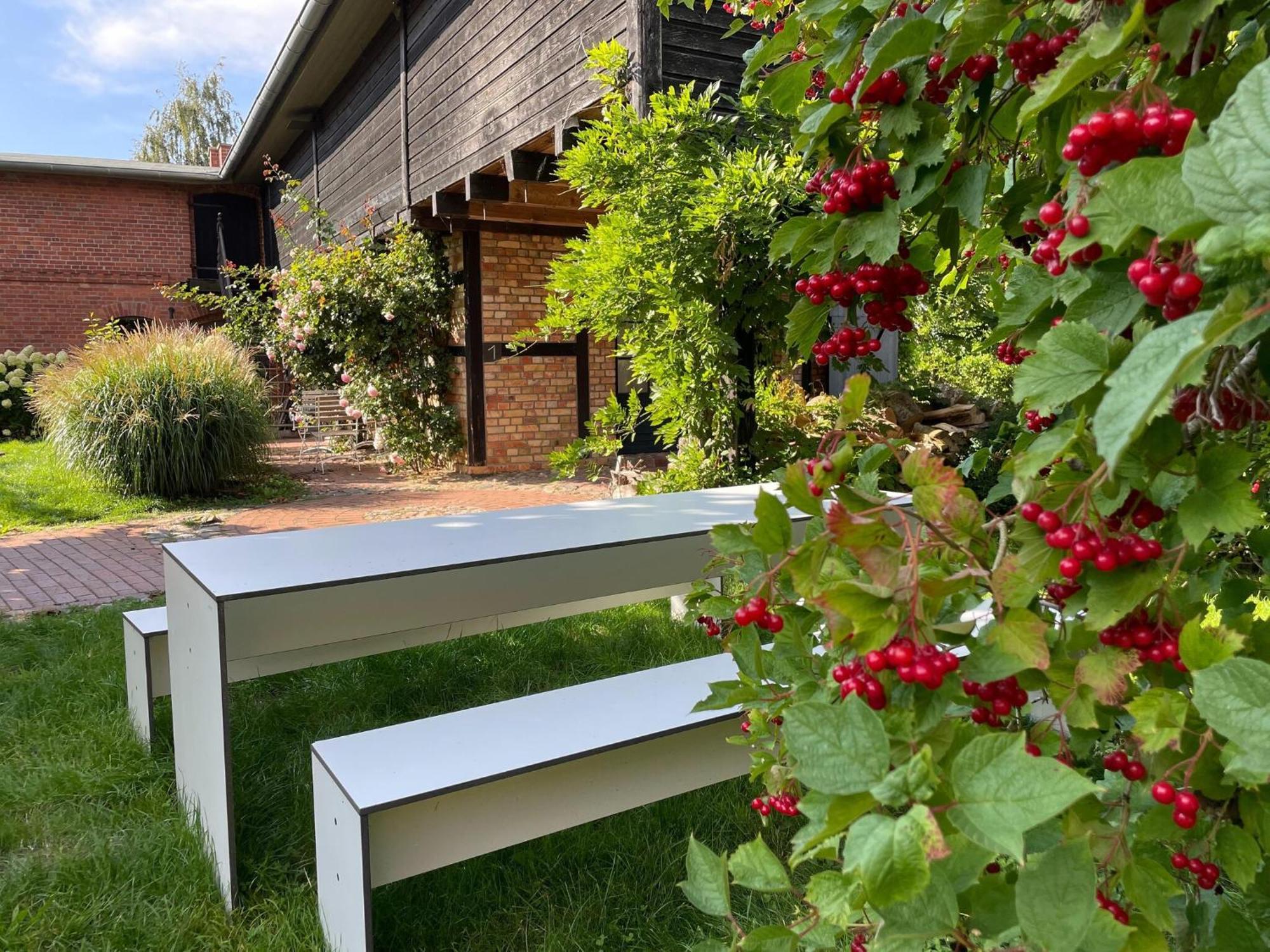 Boutique In With Garden Appartement Saal