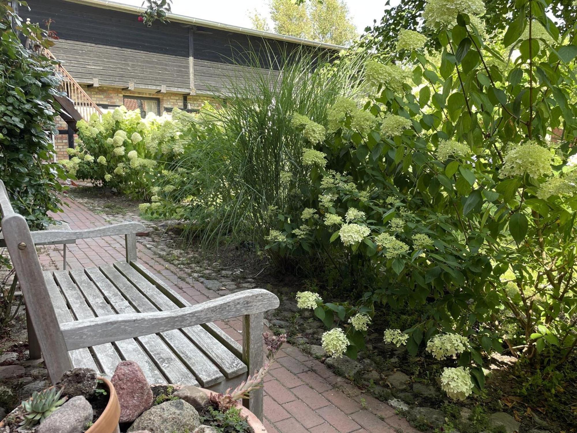 Boutique In With Garden Appartement Saal