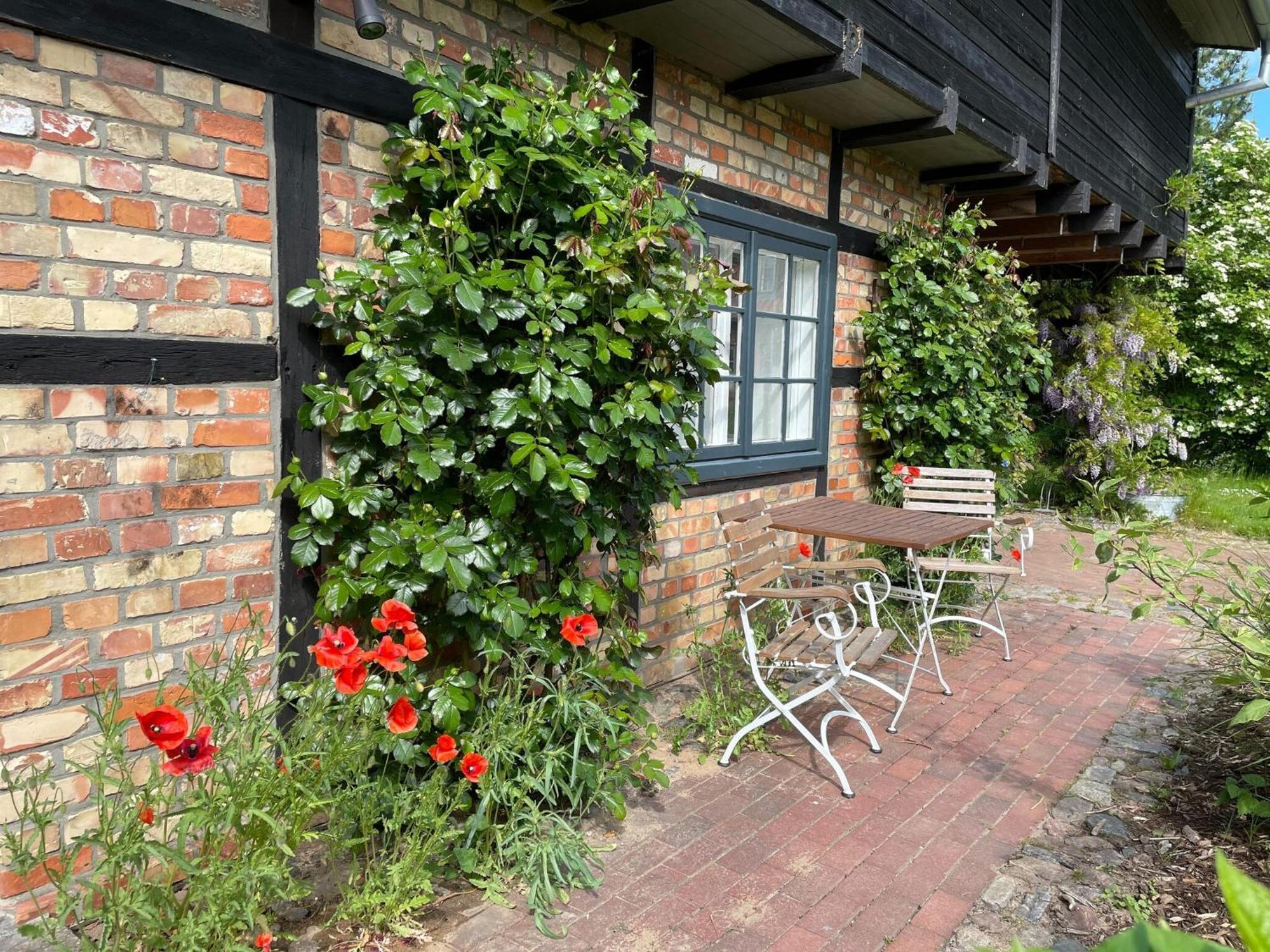 Boutique In With Garden Appartement